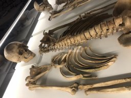 Tumba de la Almoloya 2022